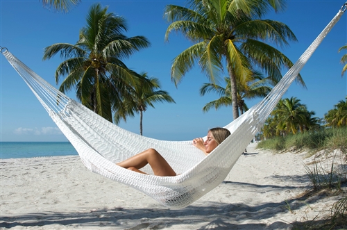 CARIBBEAN MAYAN HAMMOCK
